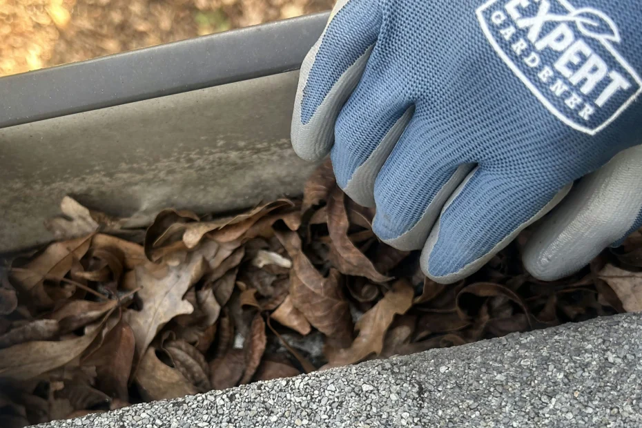 Gutter Cleaning Pelham