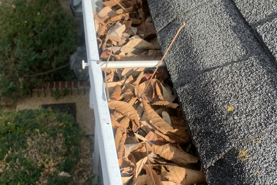 Gutter Cleaning Pelham